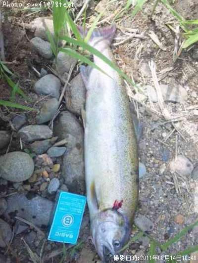 ������ޥ�