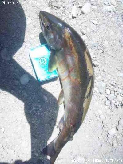 ������ޥ�