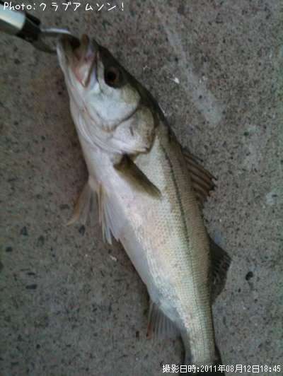 �����Х�