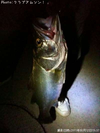 �����Х�