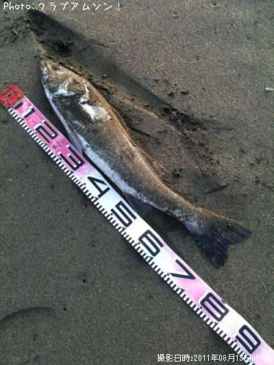 �����Х�