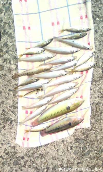 �����������ϥ����٥顢���������ޥ����յ�