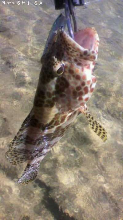 �����ߡ��Х�