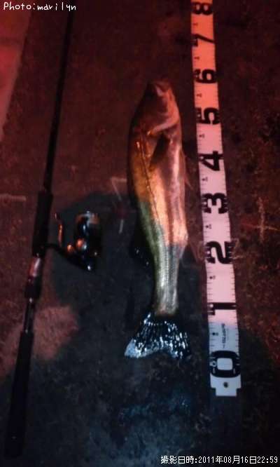 �����Х�