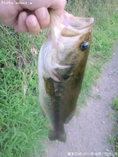 �֥�å��Х�