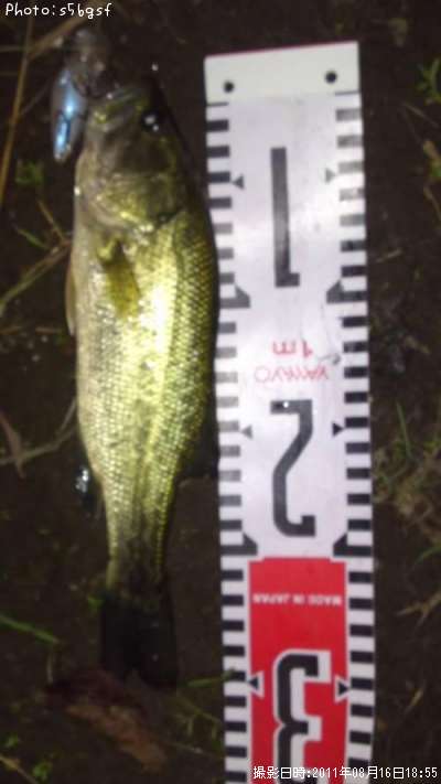 �֥�å��Х�