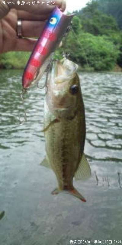 �֥�å��Х�