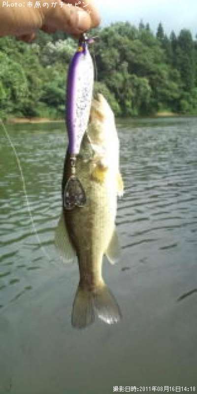 �֥�å��Х�