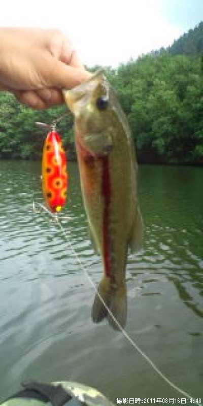 �֥�å��Х�