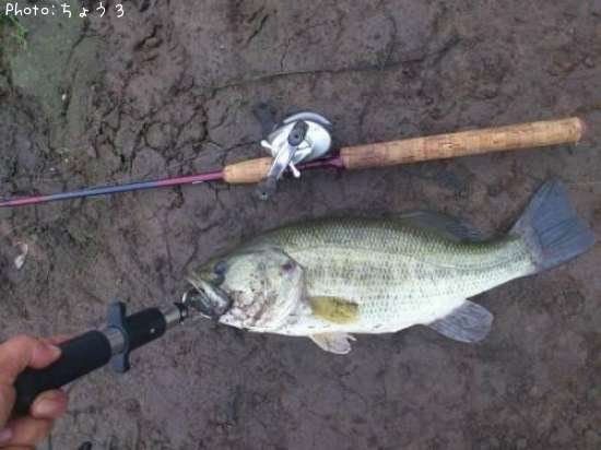 �֥�å��Х�