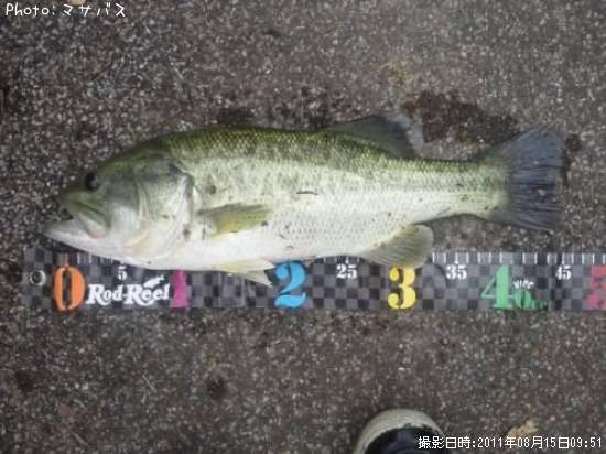 �֥�å��Х�