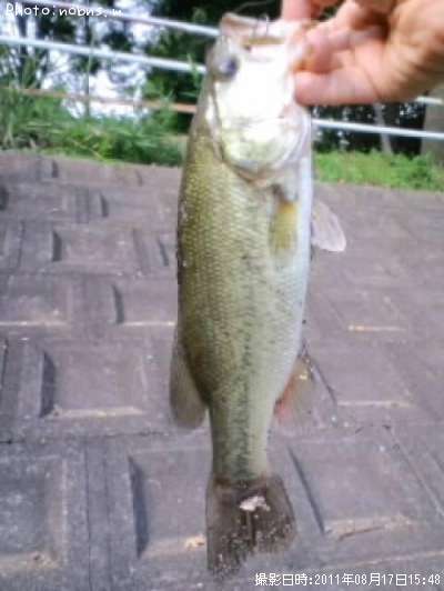 �֥�å��Х�