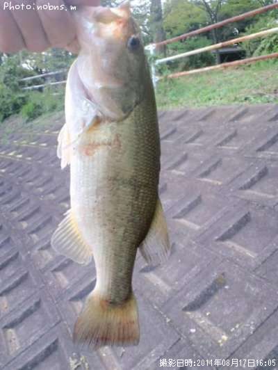 �֥�å��Х�