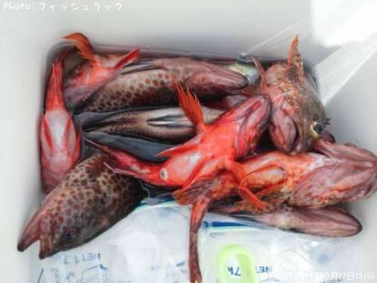 ���������ϥ�