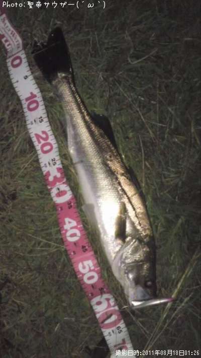 �����Х�