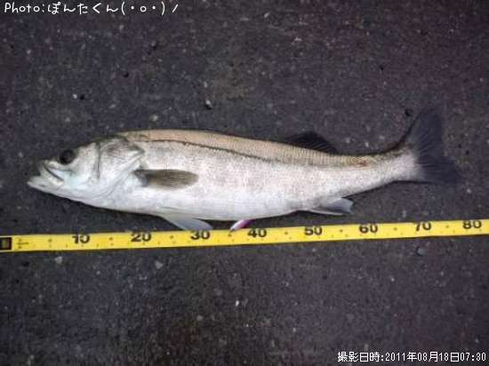 �����Х�