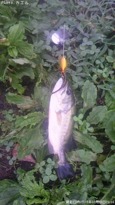 �֥�å��Х�