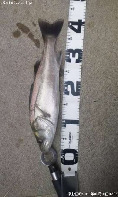 �����Х�