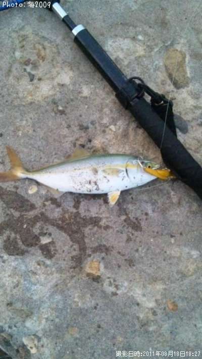 �����å�