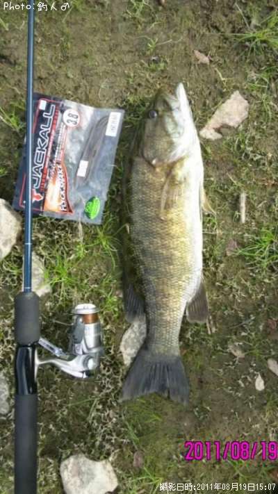 ���⡼��ޥ����Х�