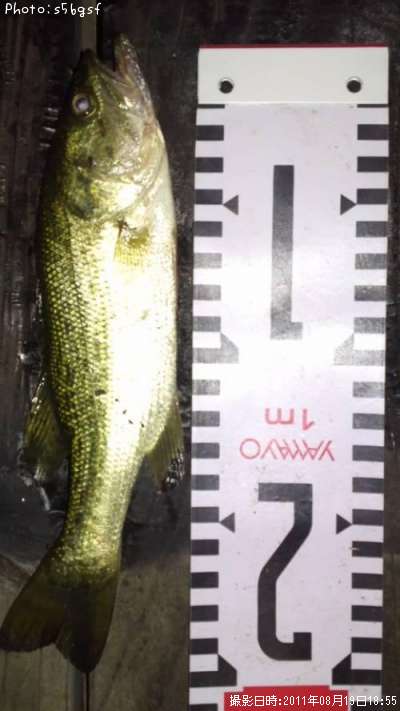 �֥�å��Х�