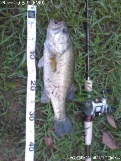 �֥�å��Х�