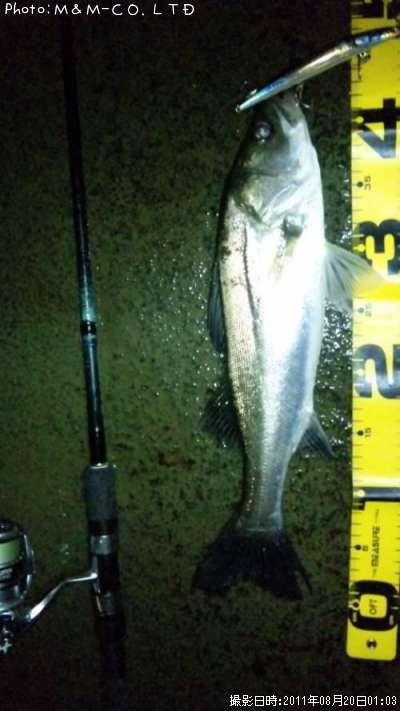 �����Х�