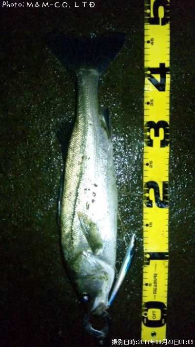 �����Х�