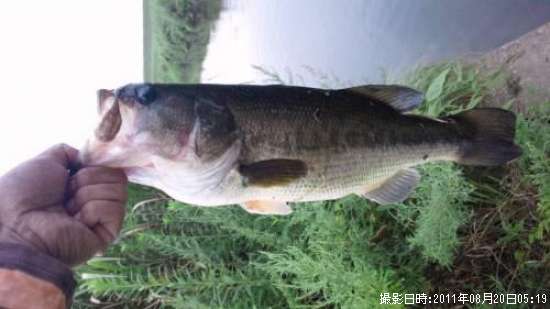 �֥�å��Х�