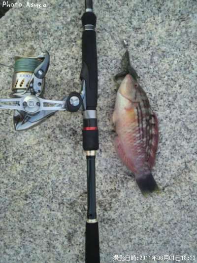 ī�������ߡ�