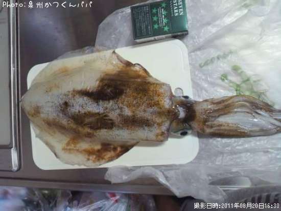 �����ꥤ��