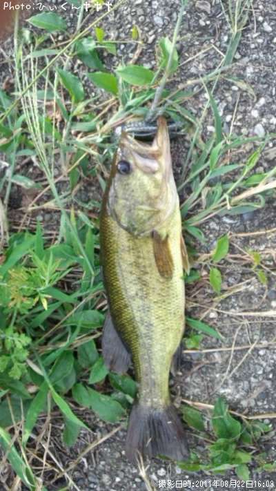 �֥�å��Х�