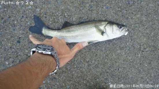 �����Х�