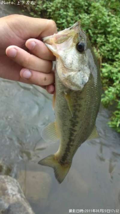 �֥�å��Х�