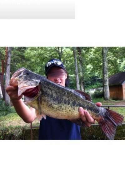 �֥�å��Х�