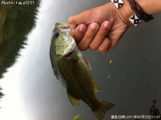 �֥�å��Х�