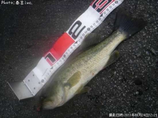 �֥�å��Х�