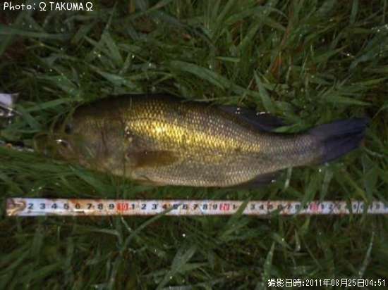 �֥�å��Х�