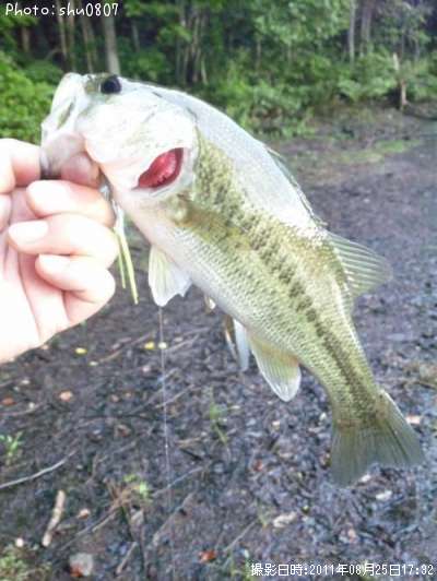 �֥�å��Х�