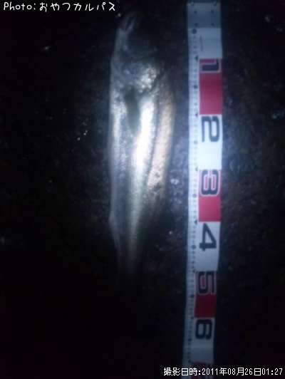 �����Х�