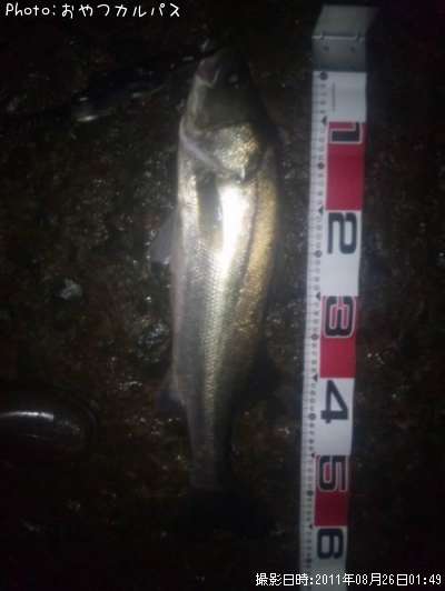 �����Х�