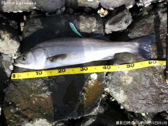 �����Х�