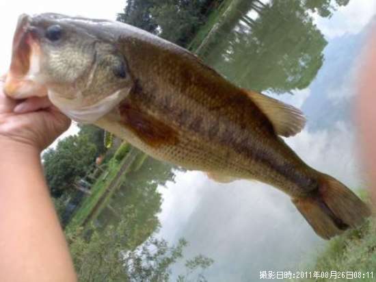 �֥�å��Х�