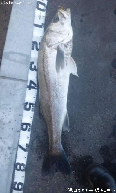 �����Х�