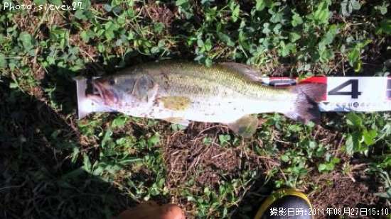 �֥�å��Х�