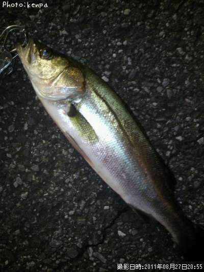 �����Х�