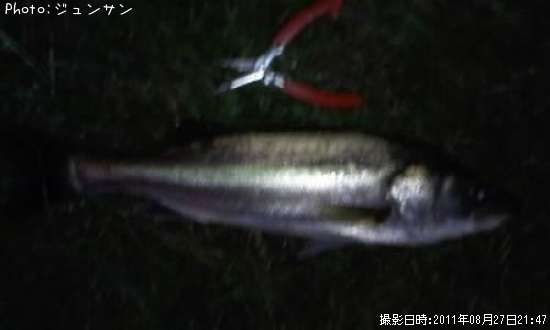 �����Х�