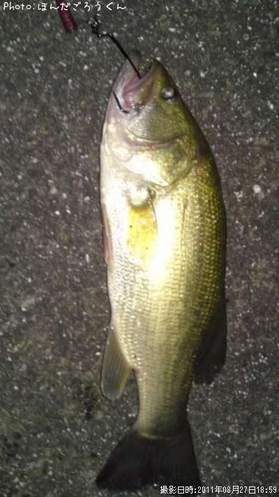 �֥�å��Х�