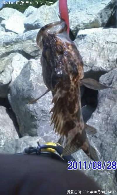 �����Υ���Х�