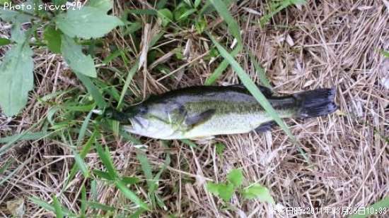 �֥�å��Х�